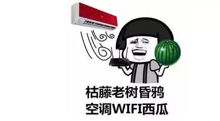 告別空調(diào)西瓜WIFI周末，解鎖健康生活新方式
