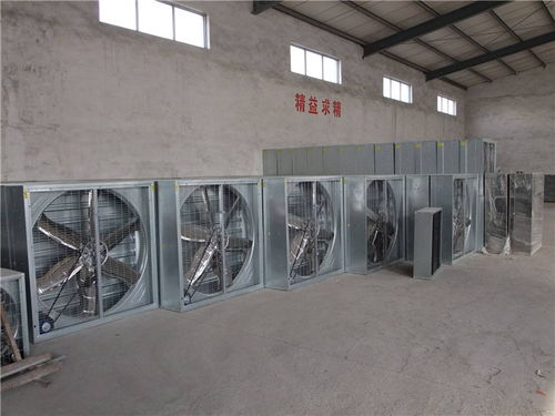 專業(yè)降溫解決方案 塑料廠負(fù)壓降溫風(fēng)機(jī)與偉達(dá)冷風(fēng)機(jī)的應(yīng)用與咨詢